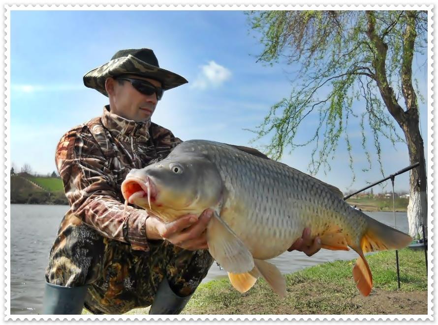 Best Off - 1501353466428787168531000011343141899133741083041768n.jpg